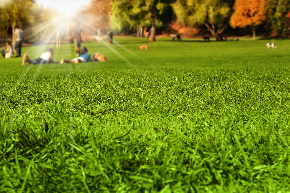 best parks in and around Brigham City, Utah